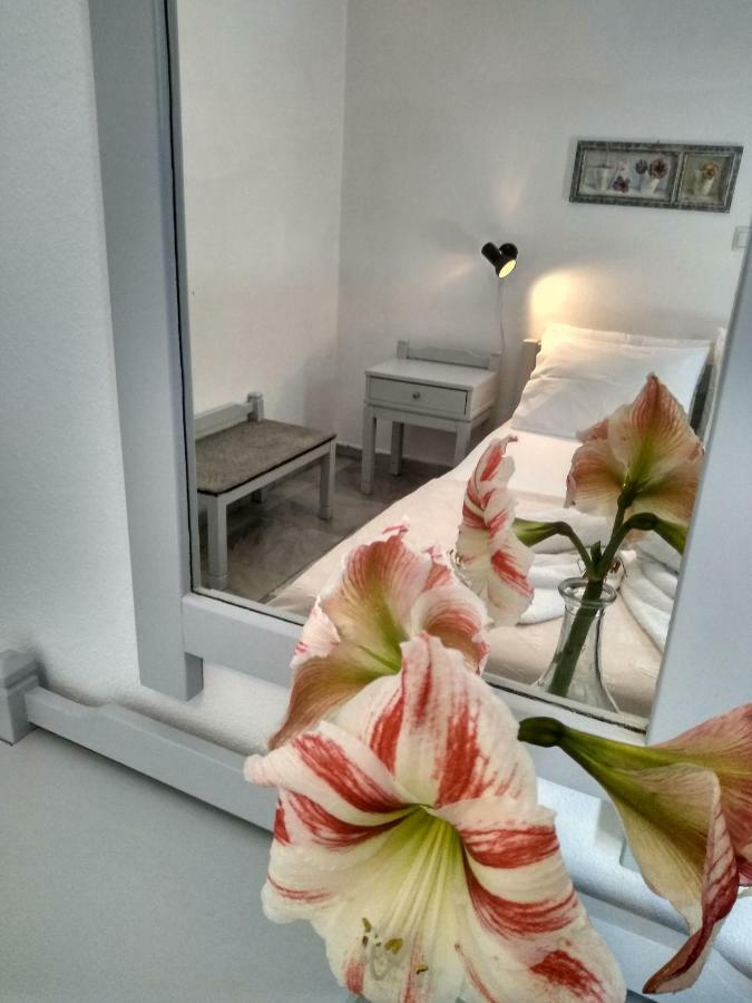 Galaxy Apartments อลิกิ ภายนอก รูปภาพ